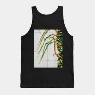 Green Ivy Growning on Grey Urban Concrete Wall Tank Top